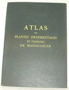 LOUVEL Atlas plantes ornementales curieuses Madagascar 102 clichés 1931 LA XXème - Imagen 1 de 11