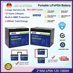 2pz 12V 100A LiFePO4 Batteria 1.28Kwh Montaggio a parete BMS Per Solare 0%IVA - Imagen 1 de 8