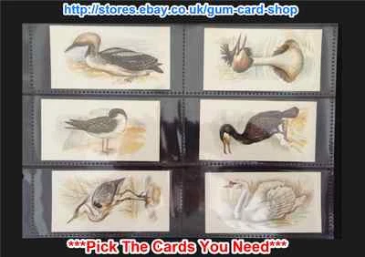 PLAYER'S - GRANDEE BRITISH BIRDS COLLECTION 1980 (VG) *PLEASE SELECT CARD* - Image 1 of 4