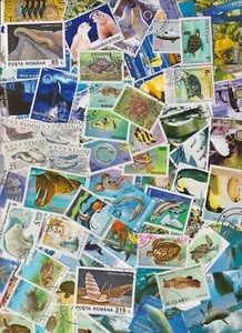 Y1043 -  Collection 100 diff. stamps - Zeeleven / Sealife / Meeresleben/ ocean  - Picture 1 of 1