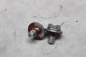 REAR TURN SIGNAL BAR SCREWS 2PCS 3576 2022 RG SPECIAL - Picture 1 of 4