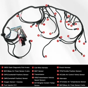 DBC LS1 For 97-06 LS Swap Vortec Stand Alone Wiring Harness 4L60E 4.8L 5.3L 6.0L - Picture 1 of 15