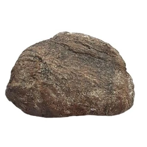 Oolite Stone Fossil w/ Bead Vein Layers Worm Insect Ancient Lake Bed 100g Rough - Picture 1 of 10