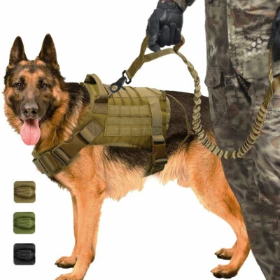 Chaleco arnés táctico militar para perros K9 perro de servicio de trabajo con correa para M L XL Foto 1 de 4