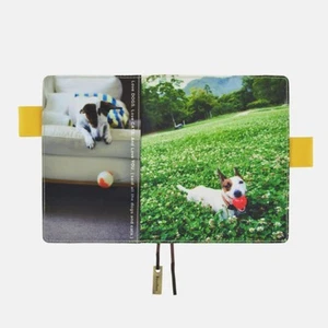 Hobonichi Techo Planner Notebook Cover Bouillon/Dog Sea of Clovers A6 2019 New - Picture 1 of 6