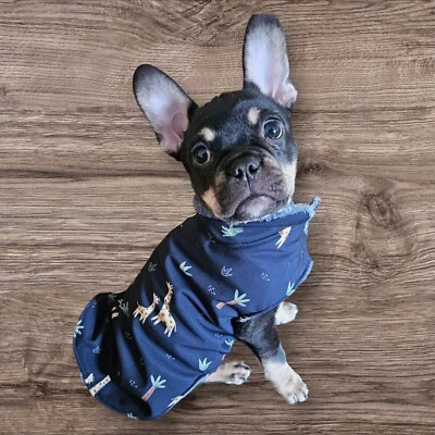 Hundemantel aus Softshell, Regenmantel Hunde gefüttert  Hundekleidung warm - Bild 1 von 4