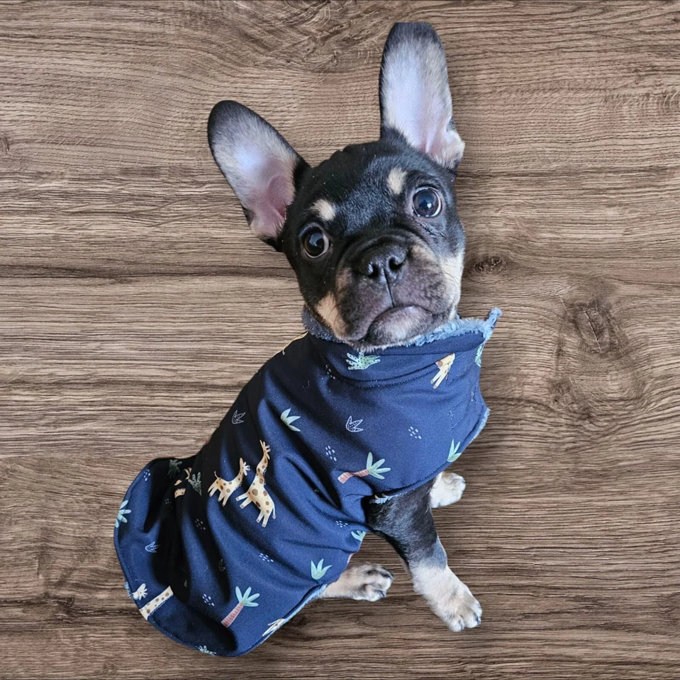 Hundemantel aus Softshell, Regenmantel Hunde gefüttert  Hundekleidung warm - Bild 1 von 4