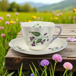 Shelley CAMPANULA (Purple Trim) No. 13886 Dainty Cup and Saucer Set - Picture 1 of 7