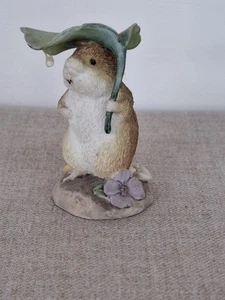 Figura Border Fine Arts Beatrix Potter Timmy Willie Under Leaf A2354 - Imagen 1 de 6