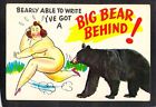 C2612 Humour Big Bear Behind Murfett vintage postcard