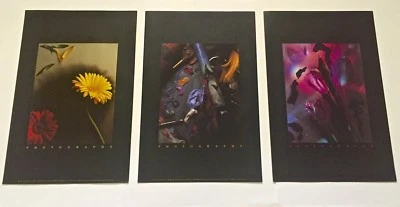 Edición limitada de tres (3) carteles promocionales de Peter Kane Photography Foto 1 de 4