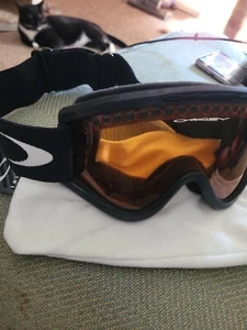 Oakley USA E-Frame occhiali da neve lenti arancioni sci/snowboard vintage 2000 - Foto 1 di 7