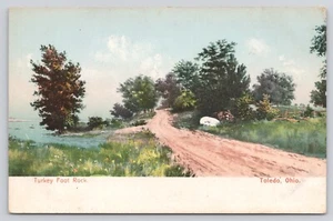 Türkei Fuß Felsen Toledo Ohio Straßenszene OH Postkarte - Bild 1 von 2