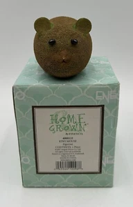 ENESCO HOME GROWN 2007 KIWI FRUIT MOUSE #4008122 RARE RETIRED - Picture 1 of 8