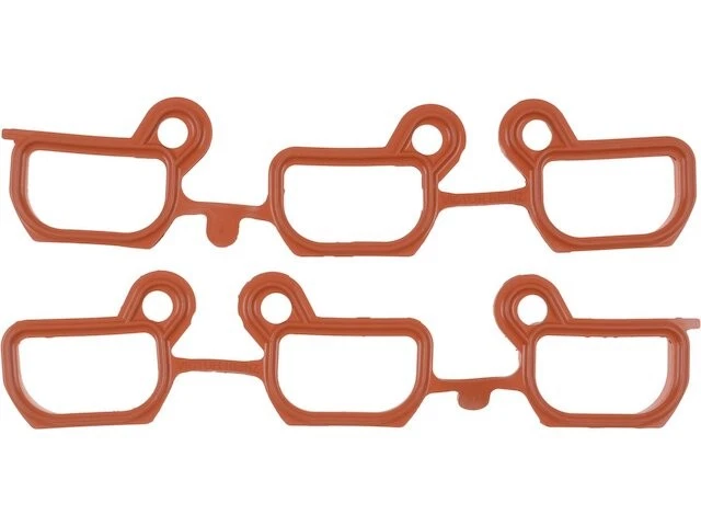 Intake Manifold Gasket Set For 2001-2005 BMW 530i M54 2002 2003 2004 WB135HG Foto 1 de 1