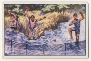 KLEINFISCHFANG STELLNETZ GILLNETTING FILET MAILLANT JAGD FANG IMAGE CARD 1930's - Picture 1 of 2