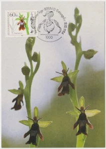 Germany Berlin Maxi 1984, Orchids, Ophrys insectifera, mint - Picture 1 of 1