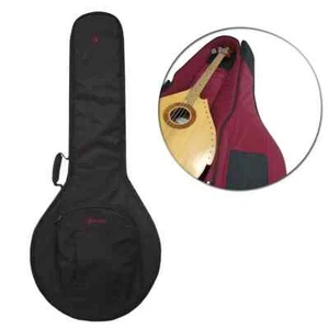 Estuche Kobza con paredes selladas y terciopelo, Estuche para instrumentos musicales folclóricos - Imagen 1 de 6