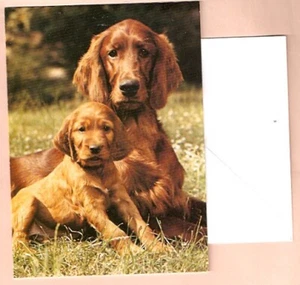 Irish Setter Mom and Pup Note Cards NoteCard Pack of 6 Made in the UK Blank - Picture 1 of 1