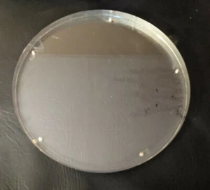 Acqua Video Subacqueo Custodia per Videocamera Marine Anteriore Plastica 11 - Foto 1 di 2