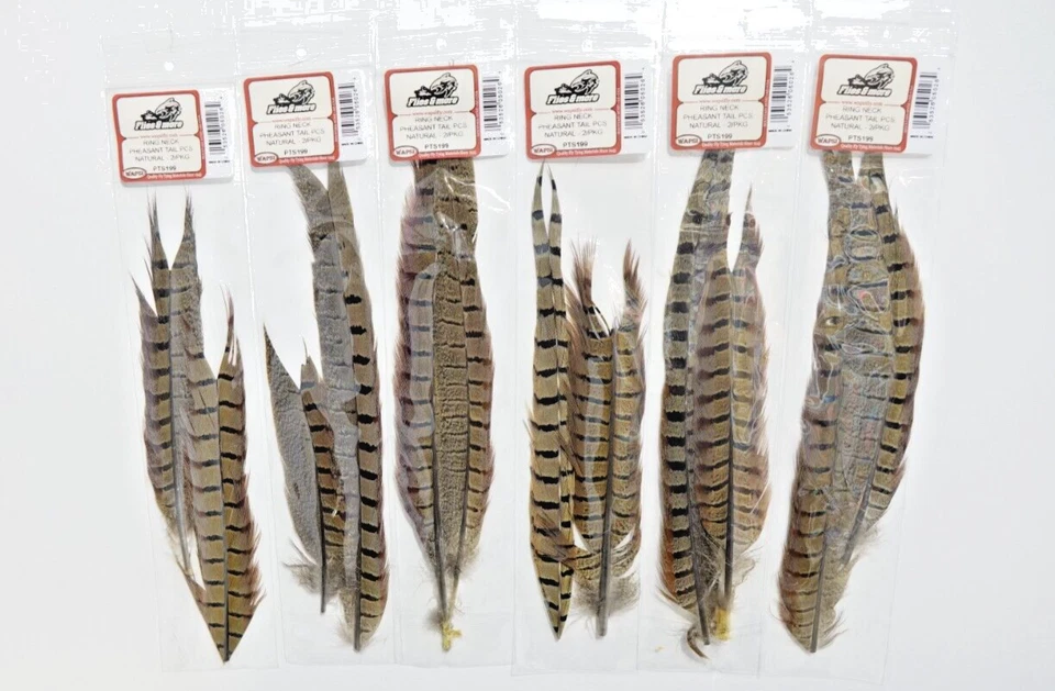 Ringneck Pheasant Tail 2 Stück WAPSI USA #PTS199 Jagdfasan Schwanzfeder 2 Stück - Bild 1 von 1