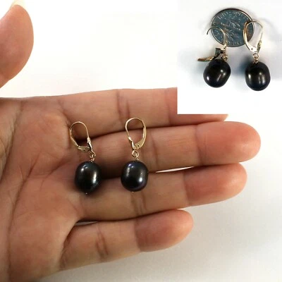 14K Yellow Gold Black Pearl Leverback Dangle Earrings (10–11mm) - Image 1 of 4