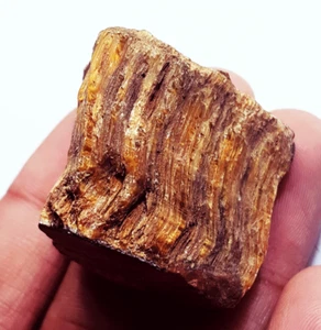 100% Natural Tiger Eye 194.20 Ct Certificate Excellent Rough Loose Gemstone - Picture 1 of 6