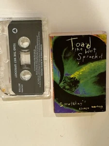 Toad The Wet Sprocket, Something’s Always Wrong . Cassette Single, Sony (1994) - Picture 1 of 1