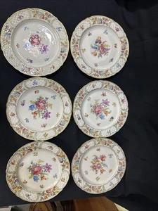 6 Schumann Kaiserin Dresden Blumen 10 1/8”-10 3/8” Speiseteller - Bild 1 von 14