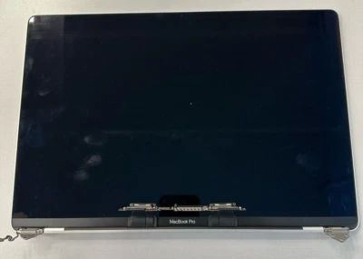 Für Teile Original 2019 16 " A2141 Silber Apple Display Macbook Pro Schlechte - Bild 1 von 2