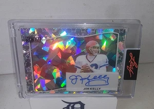 Independence Day AUTO 3/4 TROY POLAMALU SILBER KRISTALL POPSCICLE - Bild 1 von 4
