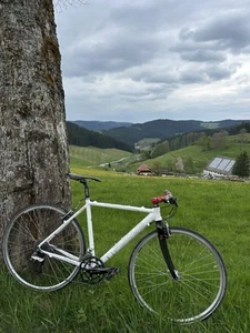 TOP ! Focus JAFIRA Rennrad, Halbrenner, ehem.UVP € 1.295,- - Bild 1 von 13