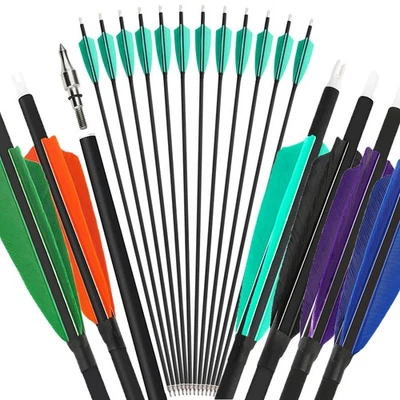 28" 30" 31" Carbon Arrows Archery SP500 4" Turkey Feather Broadhead Bow Hunting - Image 1 of 4