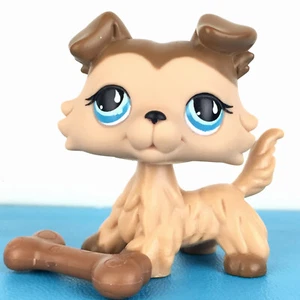 Authentic Littlest Pet Shop #893 Collie Dog / Original Hasbro LPS - Picture 1 of 4
