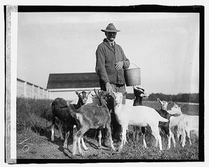 Government Farm,Beltsville,Maryland,MD,Agricultural Research Center,1919,2 - Picture 1 of 1