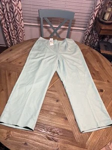 NWT Alfred Dunner Pull-On Flat-Front Pants Mint 16W MSRP $50 - Picture 1 of 9