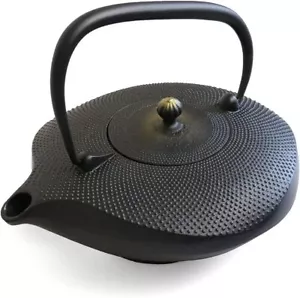 Nanbutekki Iron teapot Kawasemi enameled with tea strainer 6 colors Japan - Picture 1 of 45