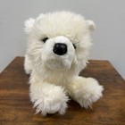 Luka Luca Samoyed White Plush Dog # 1969 Douglas Cuddle Toys Retired 2019 RARE