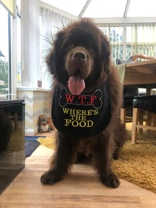 BIG DOG SLOBBER BIB W.T.F  NEWFOUNDLANDS, ST BERNARDS & ALL SLOBBERY DOGS - Picture 1 of 2