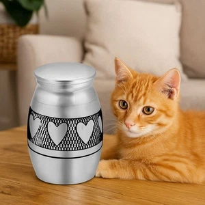 Mini Cremation Urn Jar Holder Keepsake for Human Pet Ashes Memorial Funeral Box - Picture 1 of 17