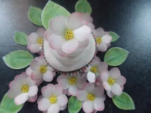 34 piece 3D Edible pink flower and leaves wafer paper cake/cupcake topper (d) - Picture 1 of 4