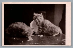 RPPC postcard Milk Is Sweet, cats with spilled milk; Rotary Photo 582 - Picture 1 of 2