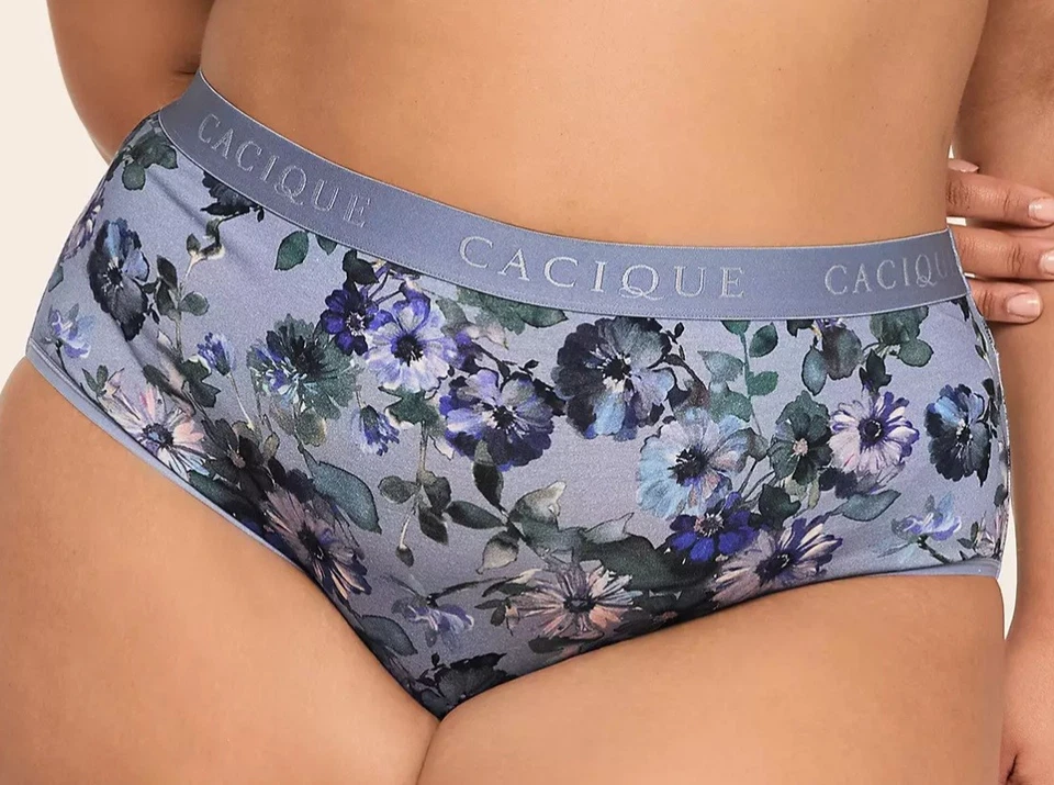 NUEVO CON ETIQUETAS - Bragas Lane Bryant Azul Floral Pierna Alta Talla 26/28 Minorista $13.50 Foto 1 de 3