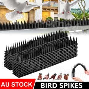12-120 Bird Spikes Anti Climb Repellent Pest Cat Climb Garden Security Deterrent - Picture 1 of 23