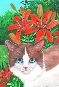 4X6 FRÜHLING POSTKARTE DRUCK LE 1/200 RYTA RAGDOLL KATZE SOMMER JUNI IRIS BLUMENKUNST - Bild 1 von 1
