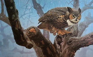 Orchard Tiger Signed Limited Edition Print by RC Kray - Owl - Bild 1 von 1