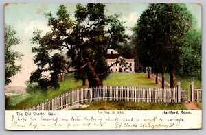 Postcard: Old Charter Oak, Hartford, CT, Chapin News Co, Polychrome, Posted 1906 - Picture 1 of 2