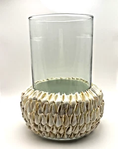 Coastal Seashell Glass Hurricane Candle Holder - NEW - Picture 1 of 2