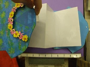 Hawaiian Shirt photo album 28H - Picture 1 of 2