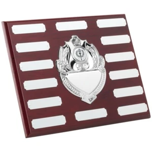 Multi Activity Annual Plaque 14 Year Presentation Award 8 x 10" FREE Engraving - Picture 1 of 1